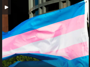 Suspension of Gender-Affirming Care